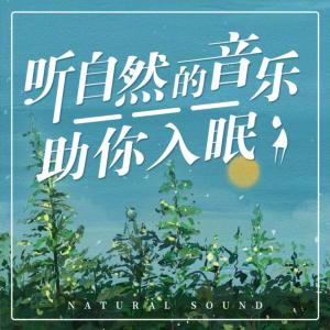 听自然的音乐入睡有声小说