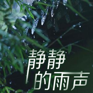 静静的雨声有声小说