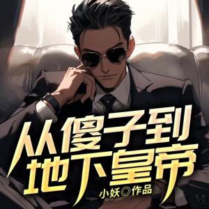 从傻子到地下皇帝有声小说