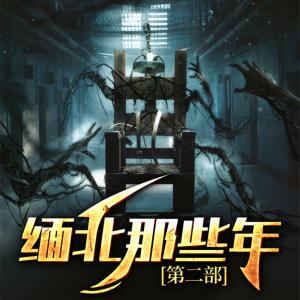 缅北那些年2有声小说