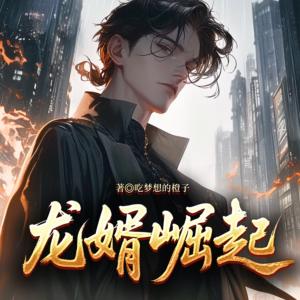 龙婿崛起有声小说