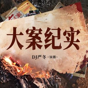 大案纪实有声小说