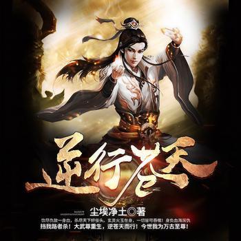 逆行苍天有声小说