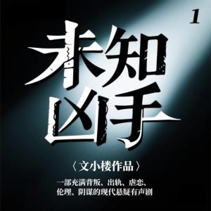 未知凶手有声小说
